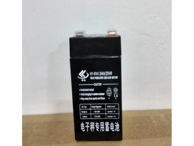 4V6V铅酸电池水电池童车电池电子称电池