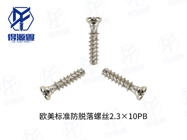 欧美标准防脱落螺丝2.3×10PB