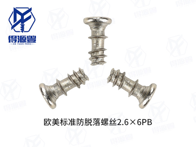 欧美标准防脱落螺丝2.6×6PB