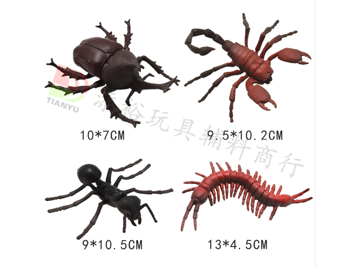 10.7*8.7*2.3cm四款昆虫