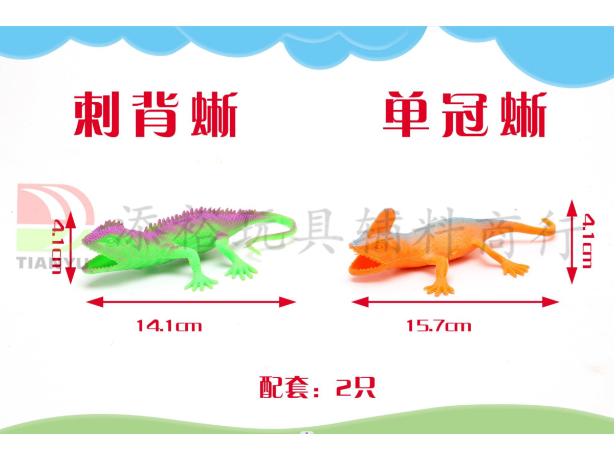 4.7寸刺背蜥、单冠蜥