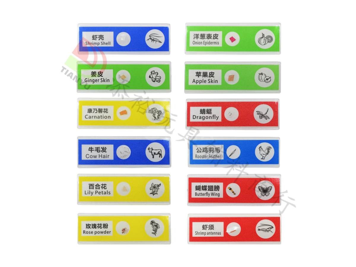 6.3*2.1cm标本