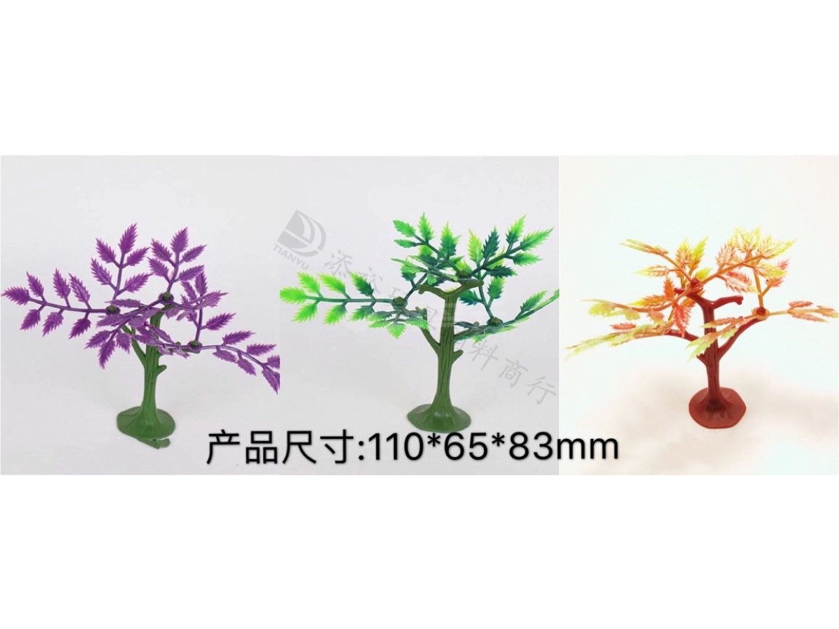3叶五星树
