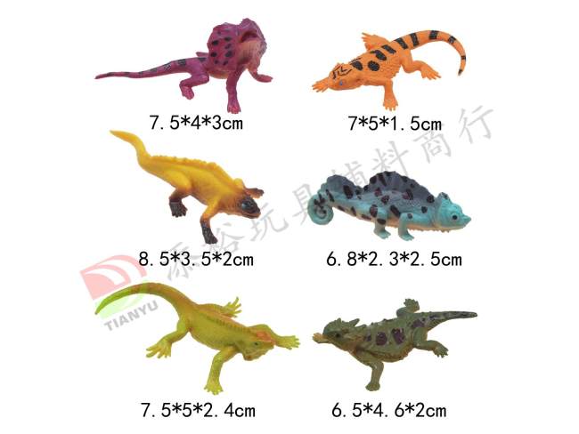 6款蜥蜴