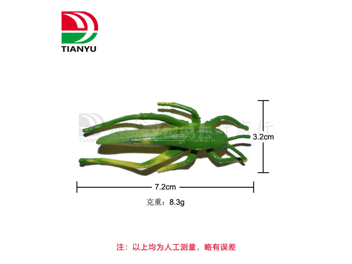 2.5寸昆虫