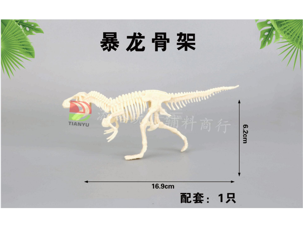 16.9*6.2cm暴龙骨架