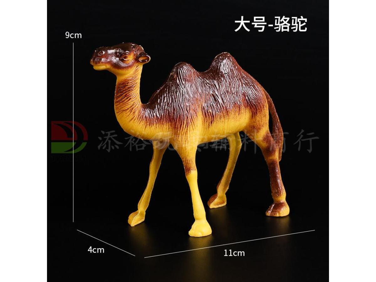 大骆驼
