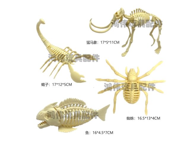 动物拼装骨架考古骨架