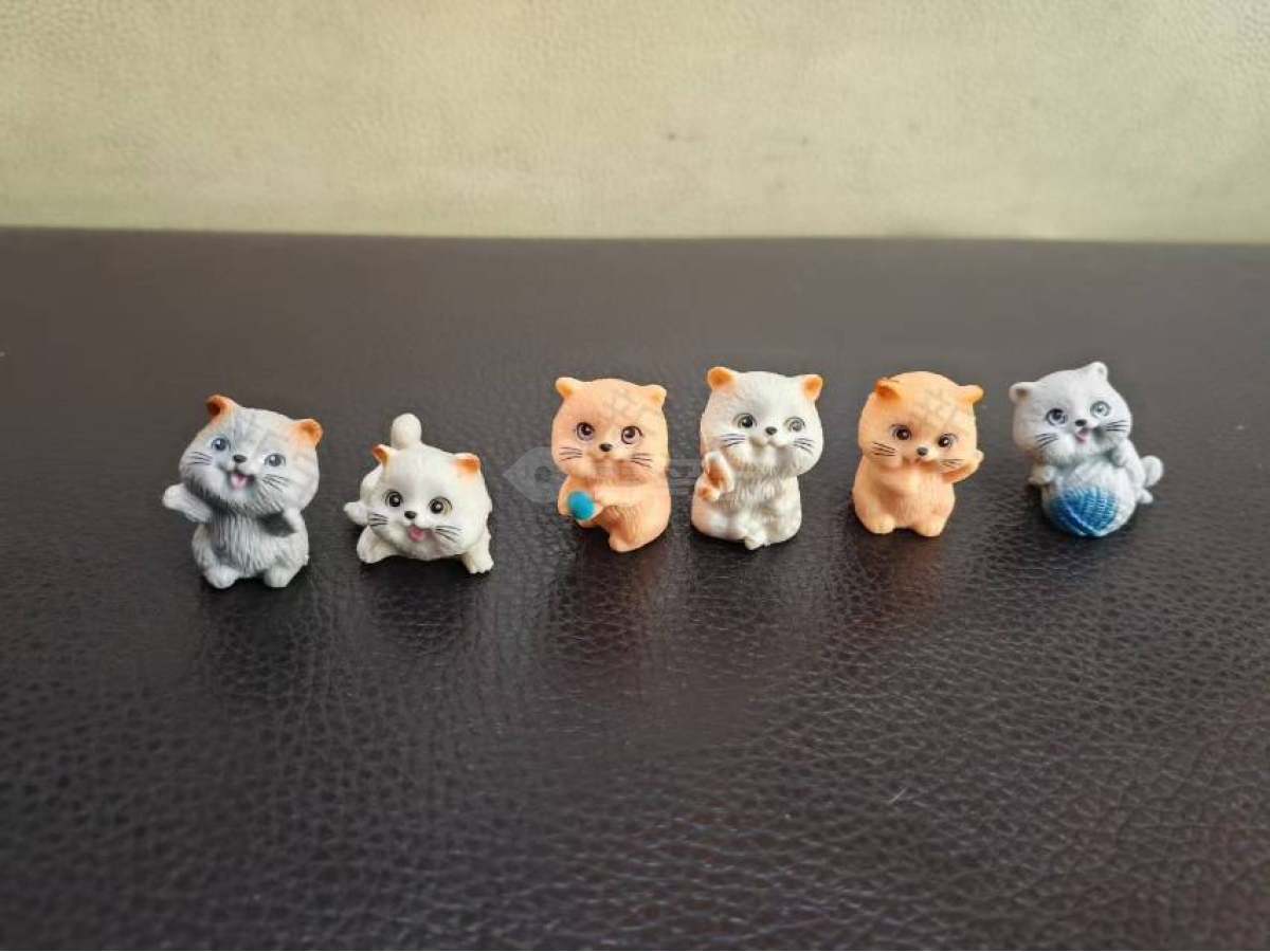 猫狗