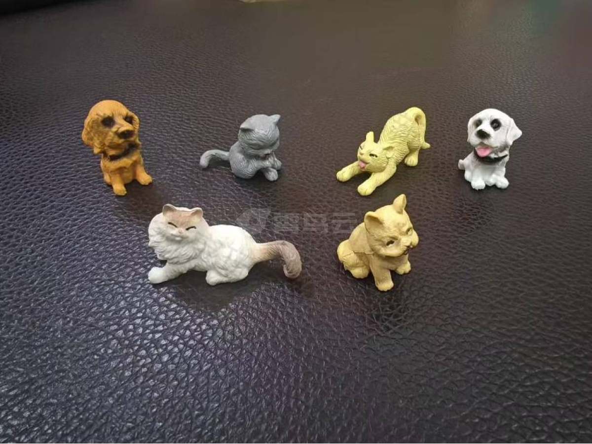 猫狗
