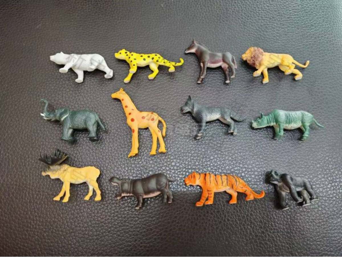 恐龙野生动物家禽海底世界