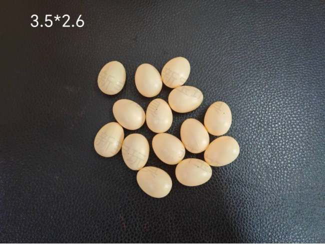 恐龙场景木头石头恐龙蛋小鸡蛋