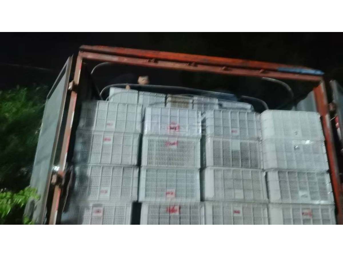 新全新二手有均