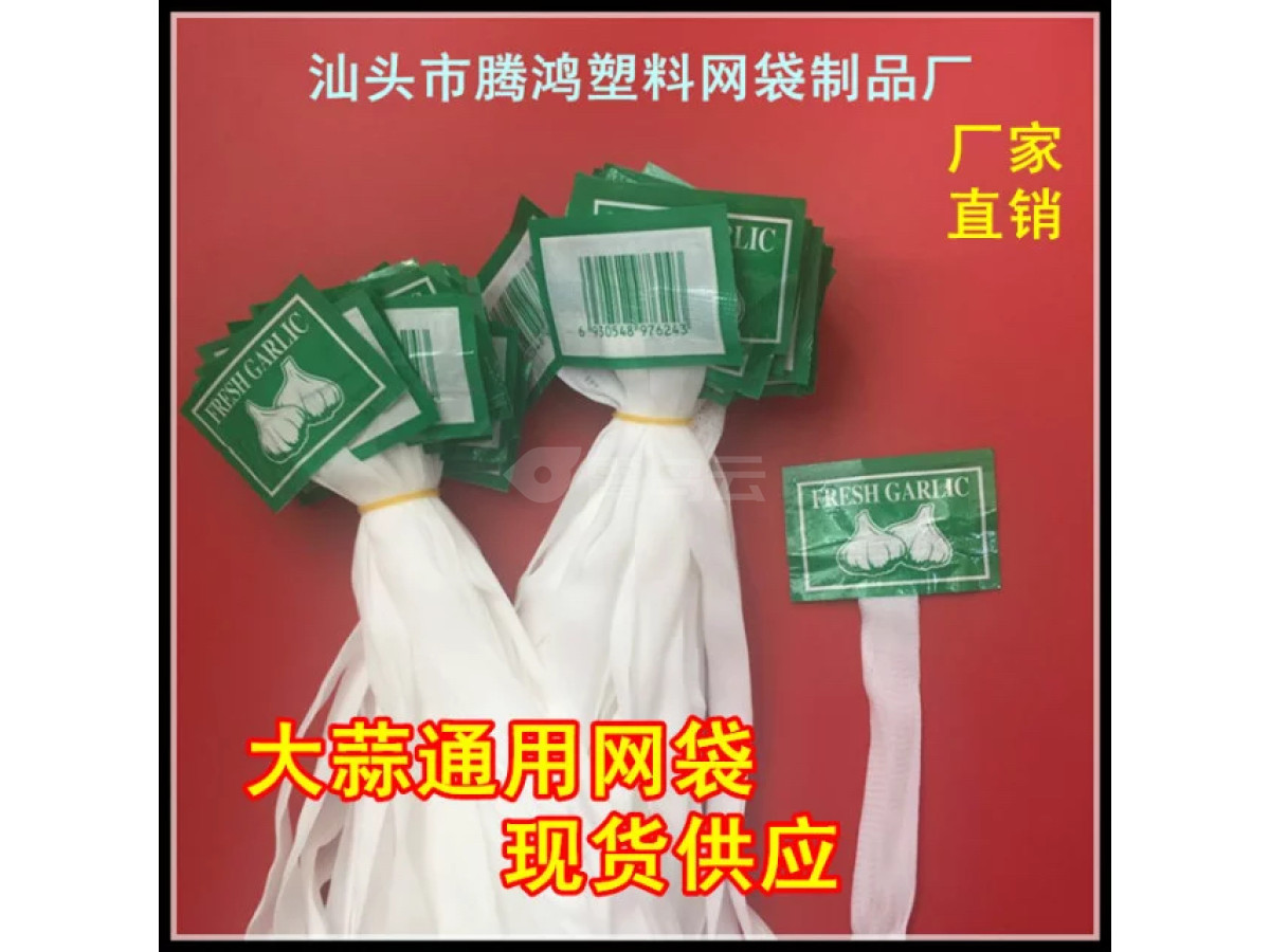 蒜头网