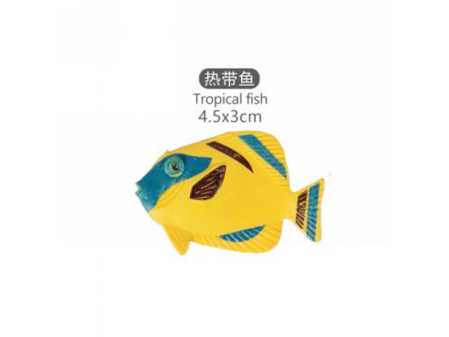 2寸热带鱼2