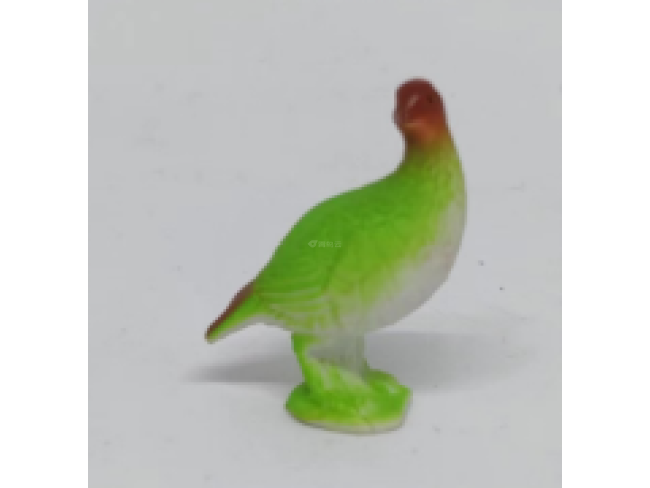 2寸鹦鹉