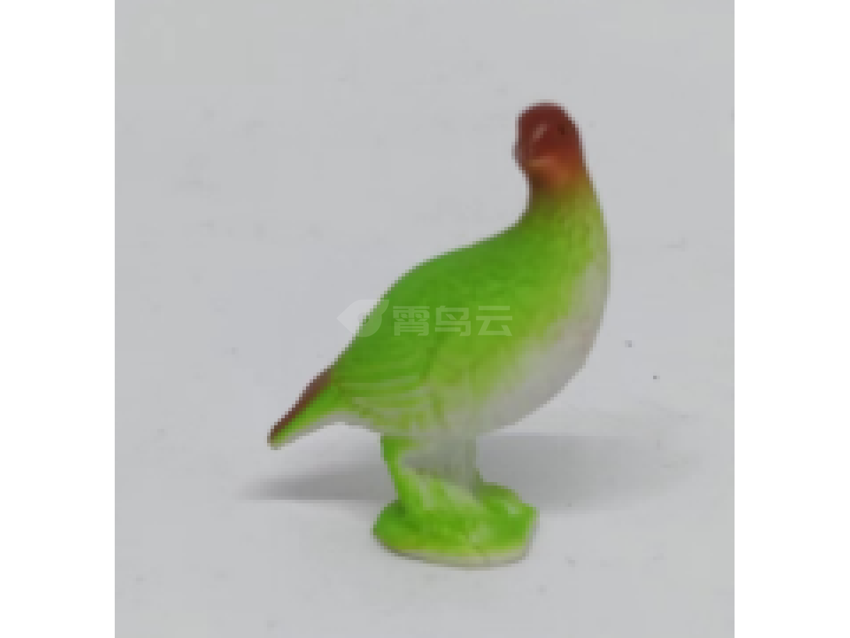 2寸鹦鹉