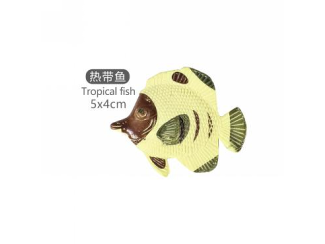 2寸热带鱼11