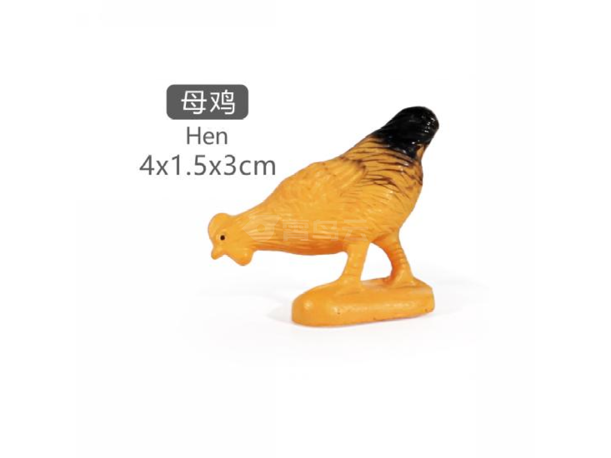 2寸母鸡