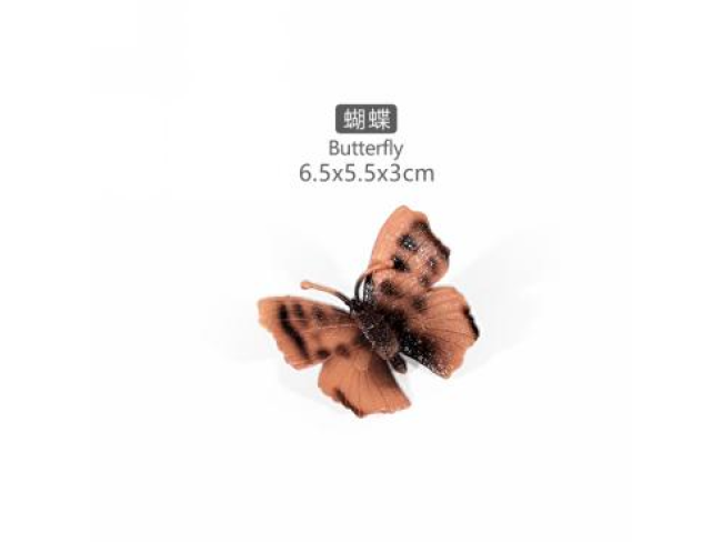 4寸蝴蝶