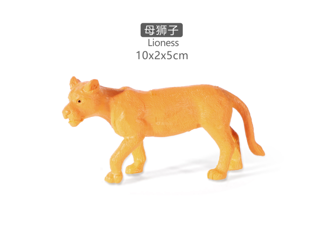 3寸母狮