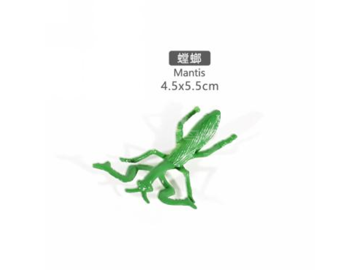 2寸螳螂