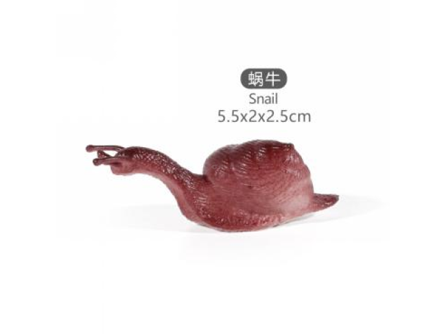 2寸海蜗牛