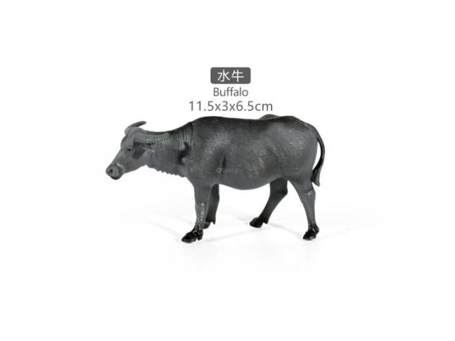 5寸水牛