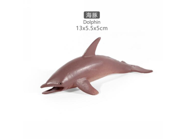 5寸海豚