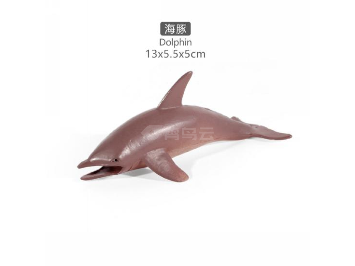 5寸海豚