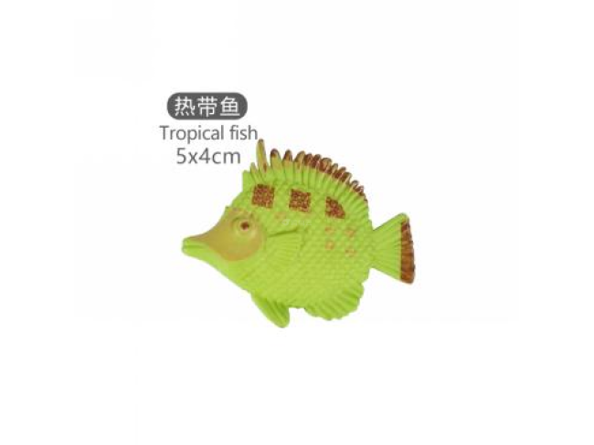 2寸热带鱼8