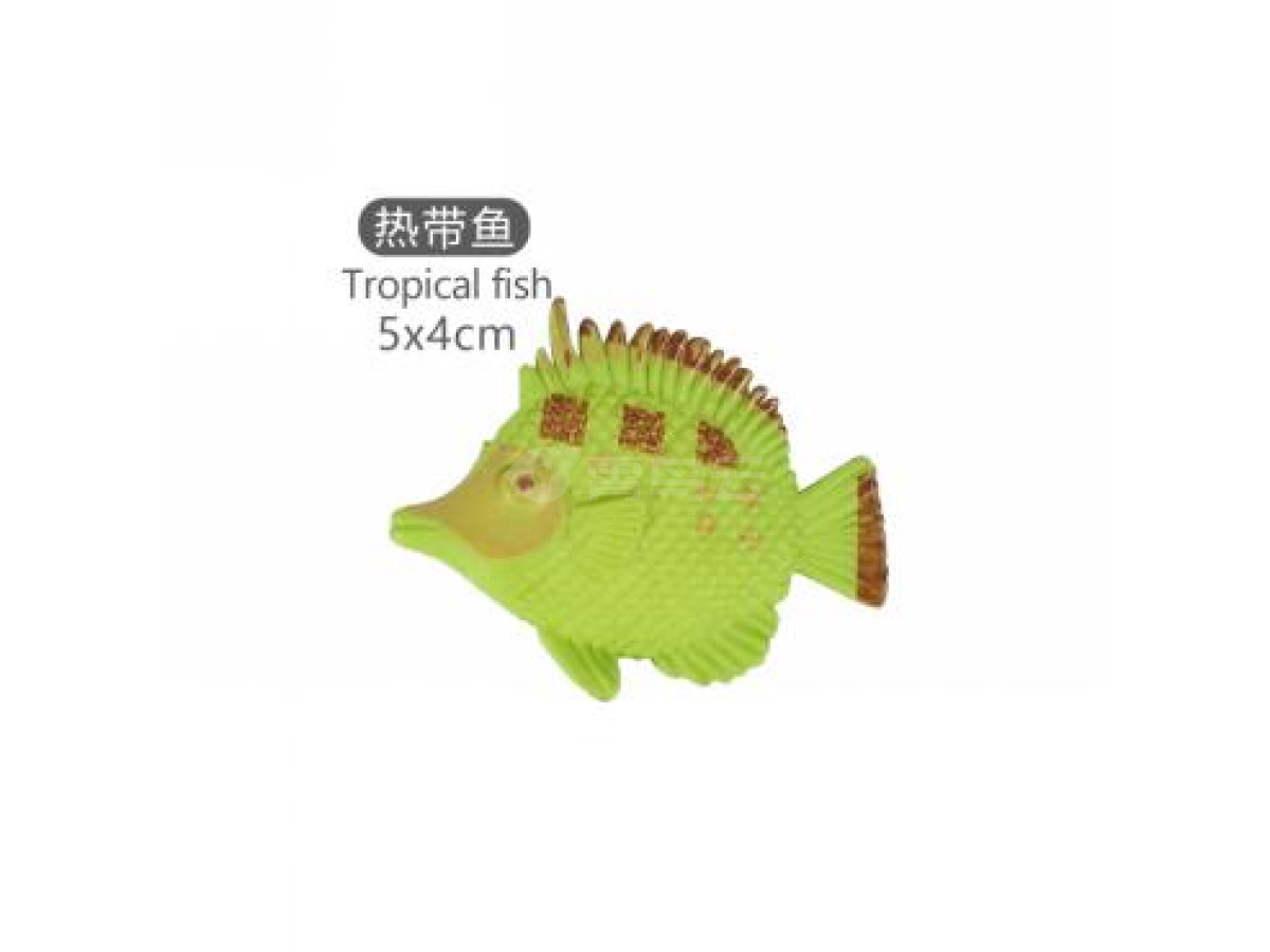 2寸热带鱼8