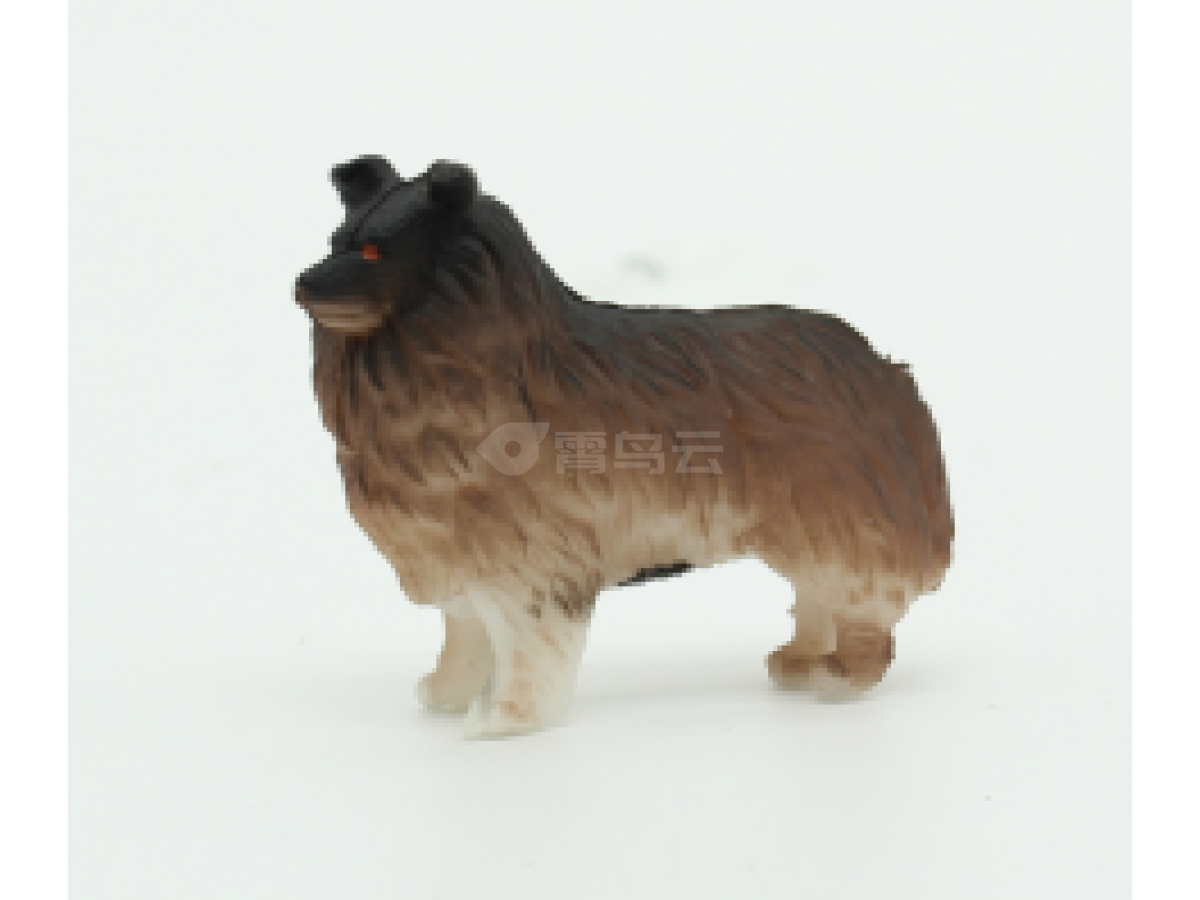 2寸狗9