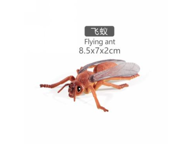 4寸飞蚁