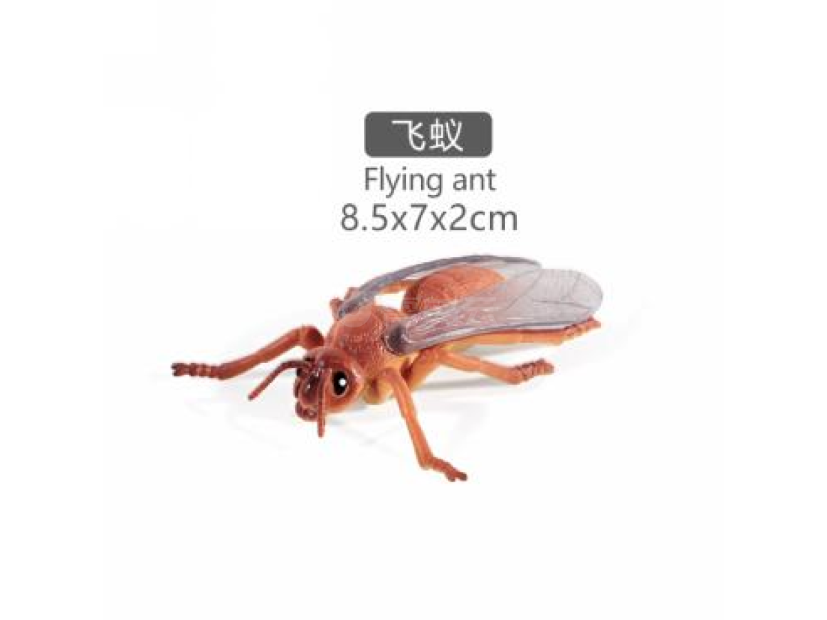 4寸飞蚁