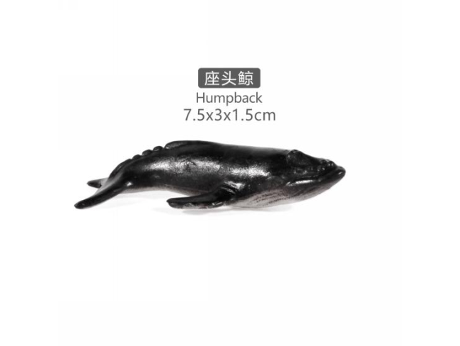 2寸座头鲸