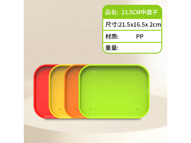 21.5CM 中盘子