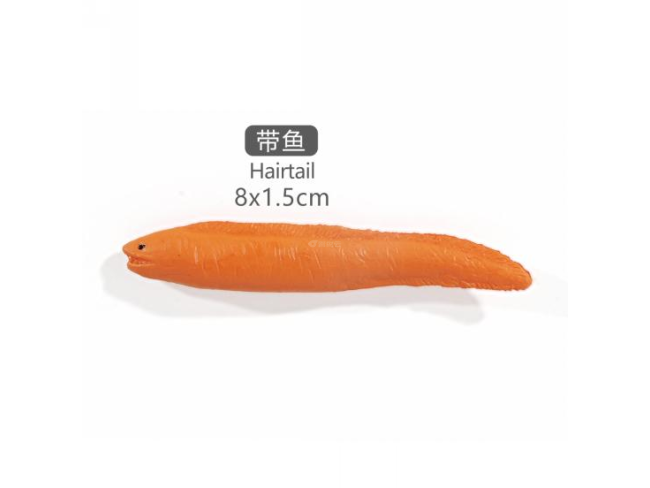 2寸带鱼