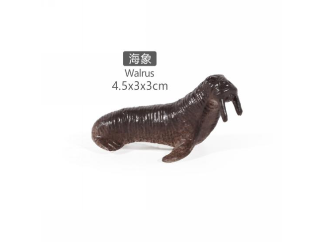 2寸海象