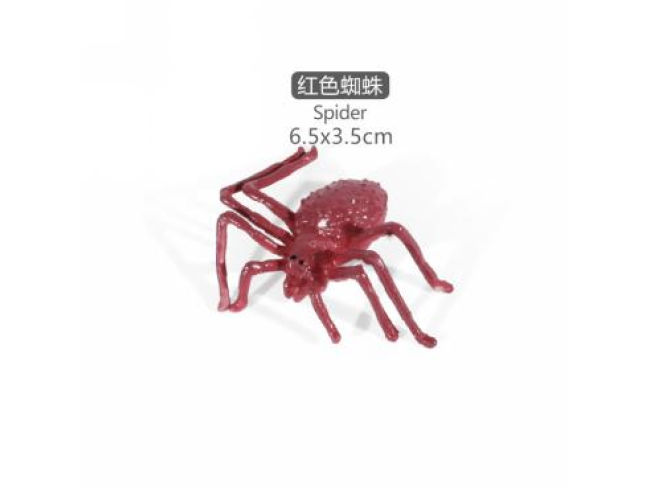 2寸迷你蜘蛛6