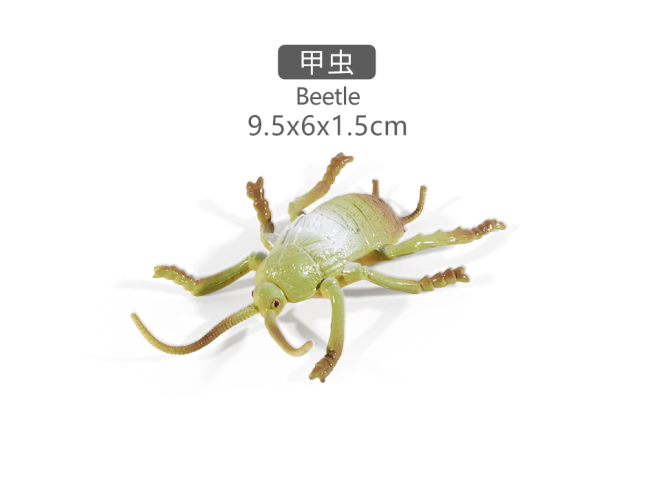 4寸美洲蟑螂