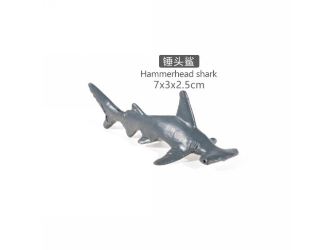 2寸锤头鲨