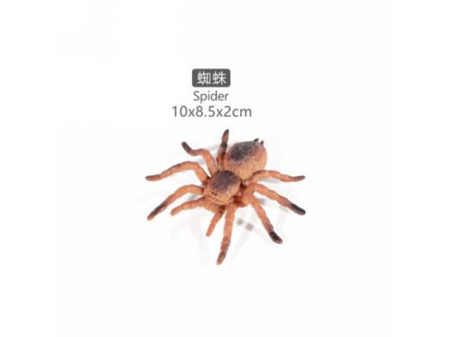 4寸黄蜘蛛