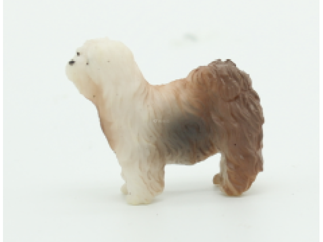 2寸狗4