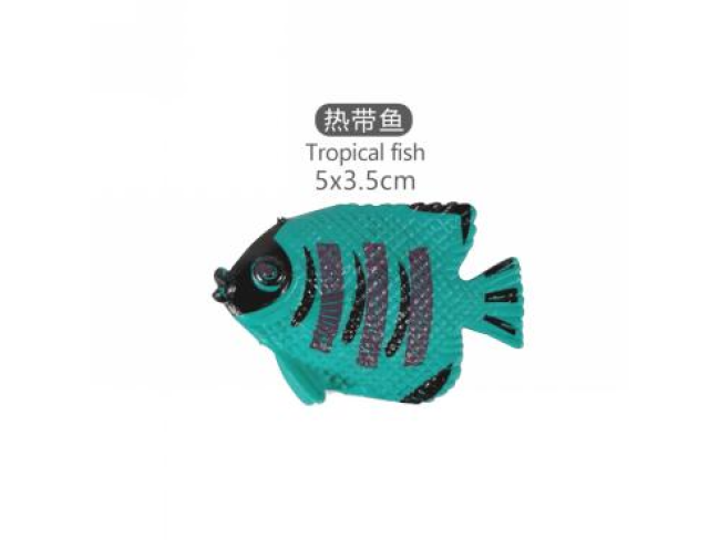 2寸热带鱼6