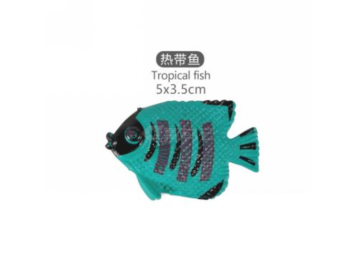 2寸热带鱼6