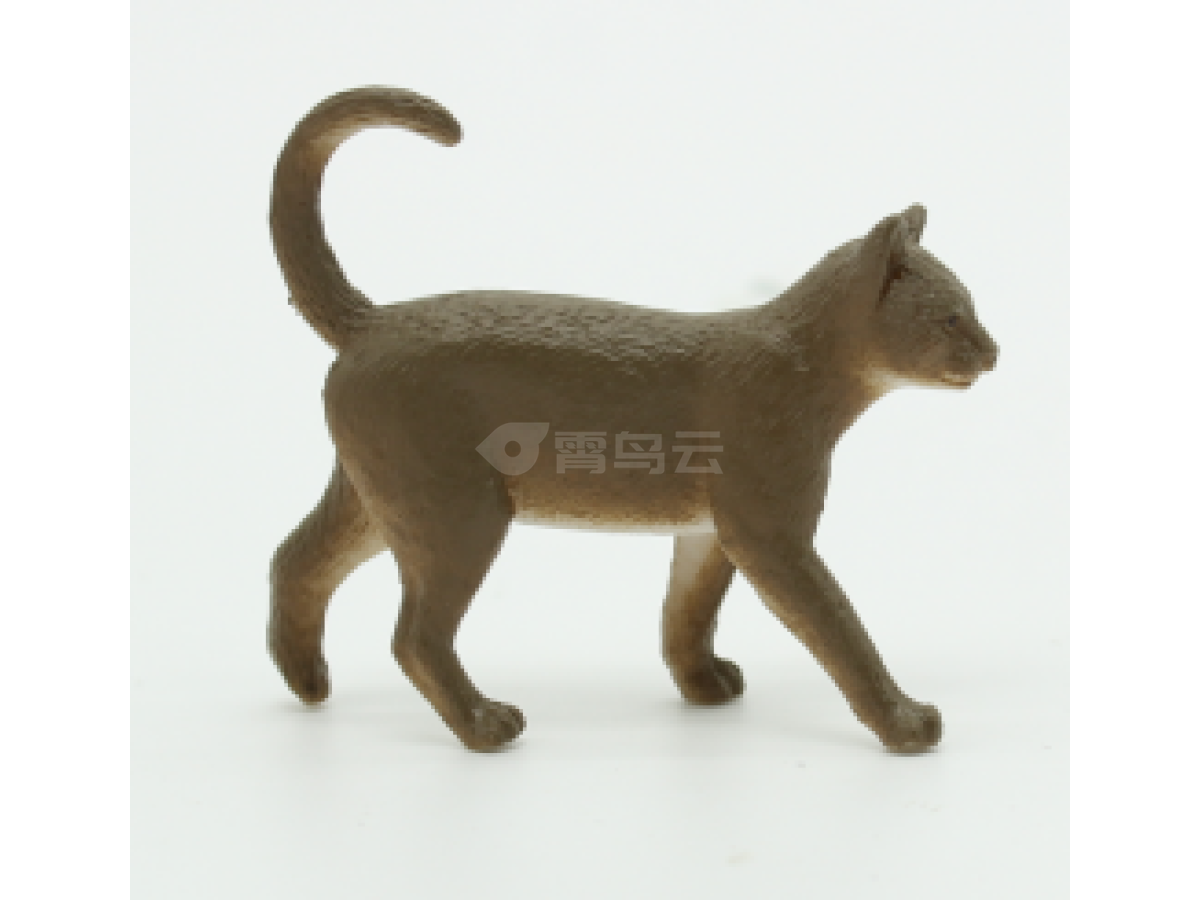 2寸猫06