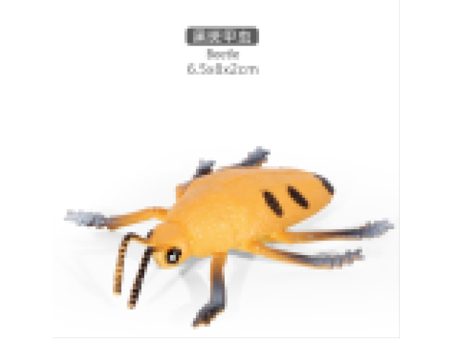 4寸黑斑甲虫