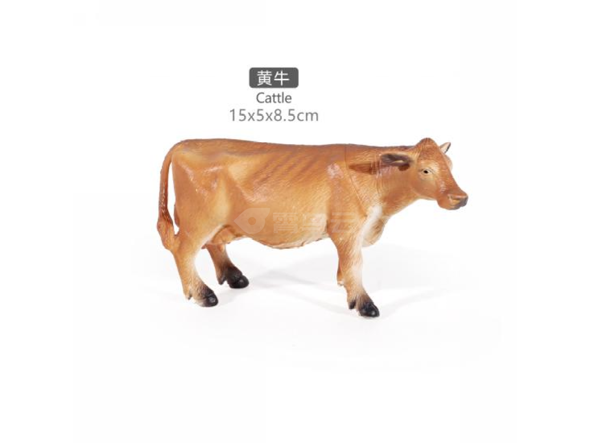 8寸黄牛