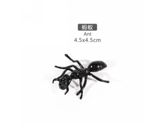 2寸蚂蚁
